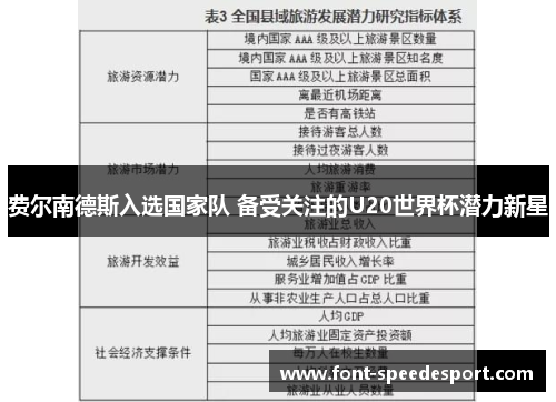 费尔南德斯入选国家队 备受关注的U20世界杯潜力新星