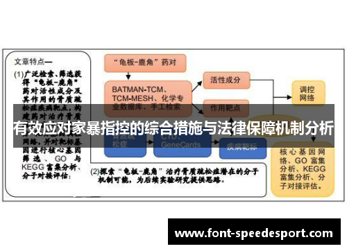 有效应对家暴指控的综合措施与法律保障机制分析