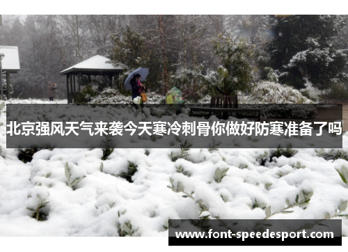 北京强风天气来袭今天寒冷刺骨你做好防寒准备了吗