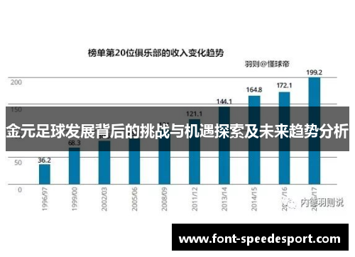 金元足球发展背后的挑战与机遇探索及未来趋势分析